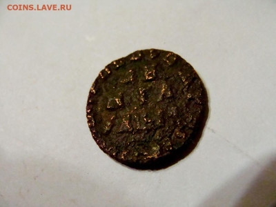 деньга петровская - DSC08594.JPG