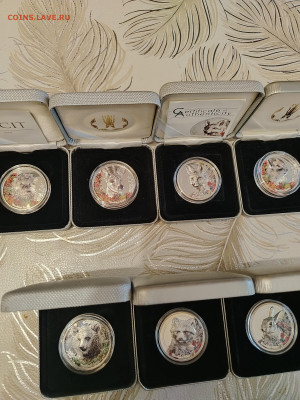 Животные на монетах - IMG_20260205_152225