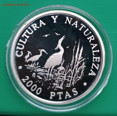 Испания 2000 песет, 1994, до 17.02. - 1770896658125