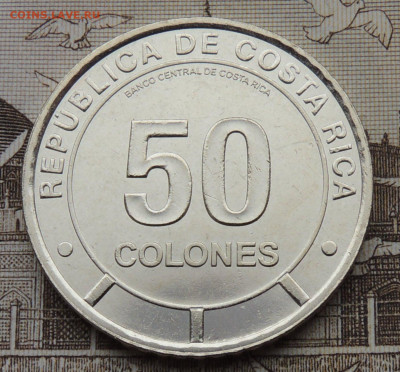 Коста-Рика 50 колонов 2023 юбил. №2 до 15.02.2026 - Горный кролик 2.JPG