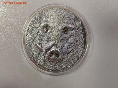 Монголия 500тугр 2018 Дикий кабан, Ag999, до 19.02 - Ю Монголия Кабан-2