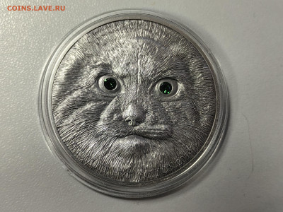 Монголия 500тугр 2014 Манул, Ag999, до 19.02 - Ю Монголия Манул-2