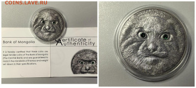 Монголия 500тугр 2014 Манул, Ag999, до 19.02 - Ю Монголия Манул-0