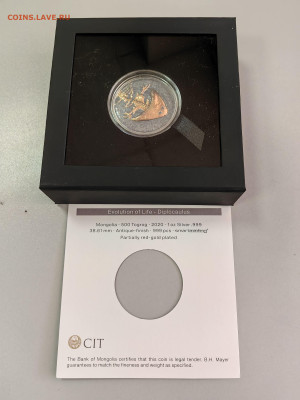 Монголия 500туг 2020 Эволюция жизни Диплокаулус Ag999, до 19 - Ю Эволюция 2020 Диплокаус-4