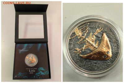 Монголия 500туг 2020 Эволюция жизни Диплокаулус Ag999, до 19 - Ю Эволюция 2020 Диплокаус-0