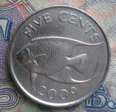 Бермуды 5 центов 2009 года до 16.02.2026 - IMG_20260212_234144