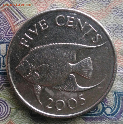 Бермуды 5 центов 2005 года до 16.02.2026 - IMG_20260209_181637