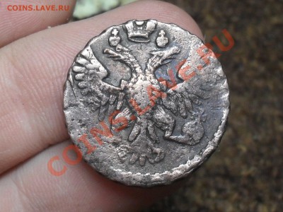 Денга 1750 красивая до 2-03-12 в 21-00 По Москве - SDC12481.JPG