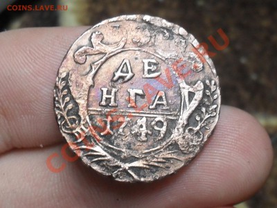 Денга 1749 Красивая до 2-03-12 в 21-00 по Москве - SDC12476.JPG