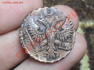 Денга 1749 Красивая до 2-03-12 в 21-00 по Москве - SDC12479.JPG