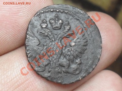 Полушка 175? Красивая. До 2-03-12 в 21-00 По Москве - SDC12469.JPG