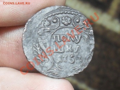 Полушка 175? Красивая. До 2-03-12 в 21-00 По Москве - SDC12472.JPG