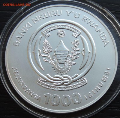 1000 франков Африканский лев (Вес 93 г.) до 22:00 19 февраля - DSCN1140.JPG