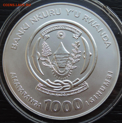 1000 франков Африканский лев (Вес 93 г.) до 22:00 19 февраля - DSCN1142.JPG