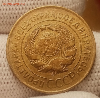 Фото при дневном освещении. - IMG_20260216_203122