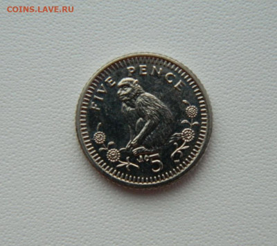 Гибралтар 5 пенсов 2003 г. (Фауна) С рубля! до 24.02.26 - DSCN1009.JPG