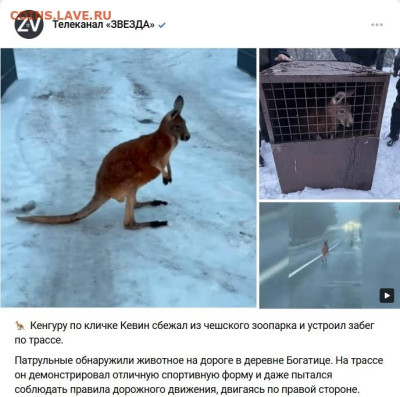 Ассоциация слов. - Кевин