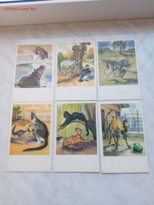 Набор красивых открыток 1969г до 25.02.26 в 22:00 по мск - IMG_20260219_120139