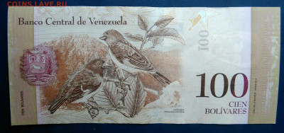 Венесуэла 100 боливаров 2012 года до 23.02.2026 - IMG_20260214_122021