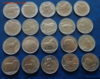 Турецкая красная книга. Оценка. Интерес. - DSC00598.JPG