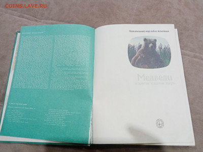 Медведи и другие хищные звери до 26.02.26 в 22:00 по мск - IMG_20260220_204418