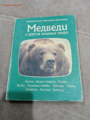 Медведи и другие хищные звери до 26.02.26 в 22:00 по мск - IMG_20260220_204017