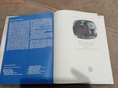 Киты и другие морские млекопитающие до 26.02.26 в 22:00 по м - IMG_20260220_205353