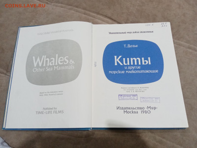 Киты и другие морские млекопитающие до 26.02.26 в 22:00 по м - IMG_20260220_205343