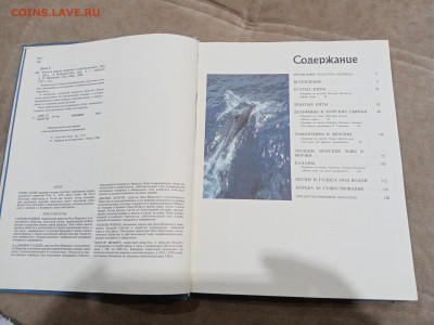 Киты и другие морские млекопитающие до 26.02.26 в 22:00 по м - IMG_20260220_205333