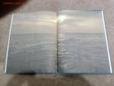 Киты и другие морские млекопитающие до 26.02.26 в 22:00 по м - IMG_20260220_205256