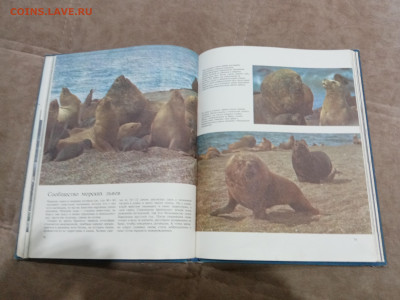 Киты и другие морские млекопитающие до 26.02.26 в 22:00 по м - IMG_20260220_205216