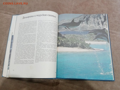 Киты и другие морские млекопитающие до 26.02.26 в 22:00 по м - IMG_20260220_205202