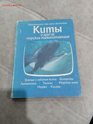 Киты и другие морские млекопитающие до 26.02.26 в 22:00 по м - IMG_20260220_205058