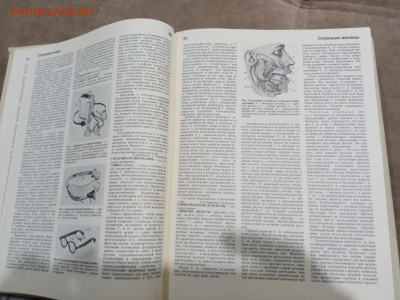 Краткая медицинская энциклопедия в 3х томах до 26.02.26 в 22 - IMG_20260220_214255