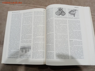 Краткая медицинская энциклопедия в 3х томах до 26.02.26 в 22 - IMG_20260220_214039