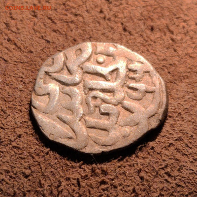 Дирхемы 1310-1363 г. (34 шт) - IMG_20260220_221621 копия