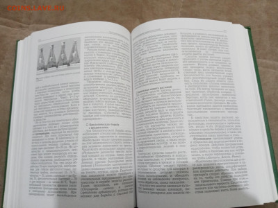 Овощеводство до 26.02.26 в 22:00 по мск - IMG_20260220_224601