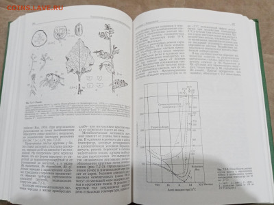 Овощеводство до 26.02.26 в 22:00 по мск - IMG_20260220_224551
