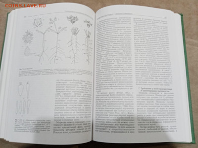 Овощеводство до 26.02.26 в 22:00 по мск - IMG_20260220_224538