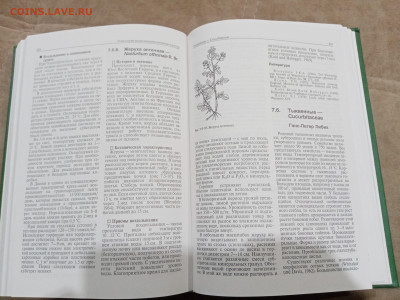 Овощеводство до 26.02.26 в 22:00 по мск - IMG_20260220_224526