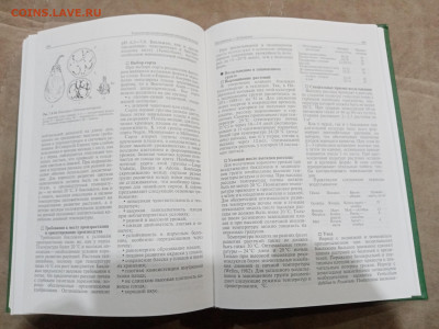 Овощеводство до 26.02.26 в 22:00 по мск - IMG_20260220_224514