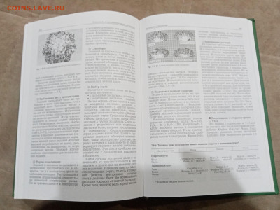 Овощеводство до 26.02.26 в 22:00 по мск - IMG_20260220_224503