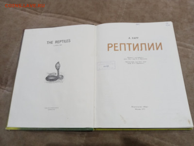 Рептилии до 26.02.26 в 22:00 по мск - IMG_20260220_230100