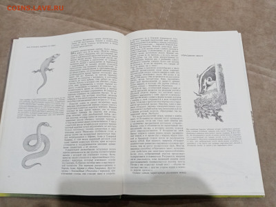 Рептилии до 26.02.26 в 22:00 по мск - IMG_20260220_230048