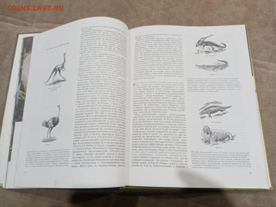 Рептилии до 26.02.26 в 22:00 по мск - IMG_20260220_225943