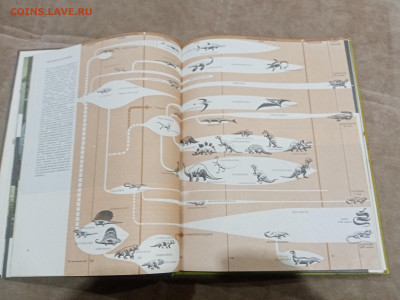 Рептилии до 26.02.26 в 22:00 по мск - IMG_20260220_225932