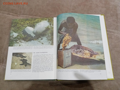 Рептилии до 26.02.26 в 22:00 по мск - IMG_20260220_225726