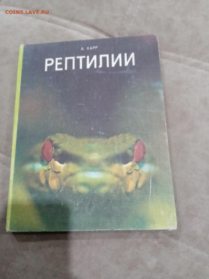 Рептилии до 26.02.26 в 22:00 по мск - IMG_20260220_225443