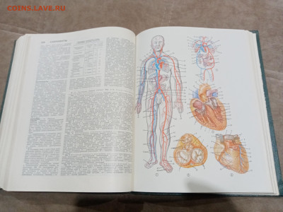 Популярная медицинская энциклопедия до 26.02.26 в 22:00 по м - IMG_20260220_231259