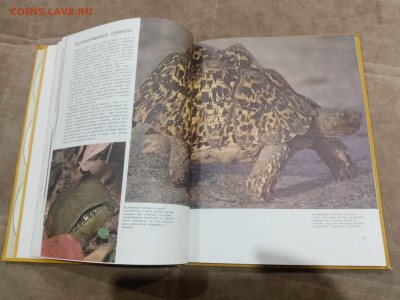 Способы защиты у животных до 26.02.26 в 22:00 по мск - IMG_20260220_232713